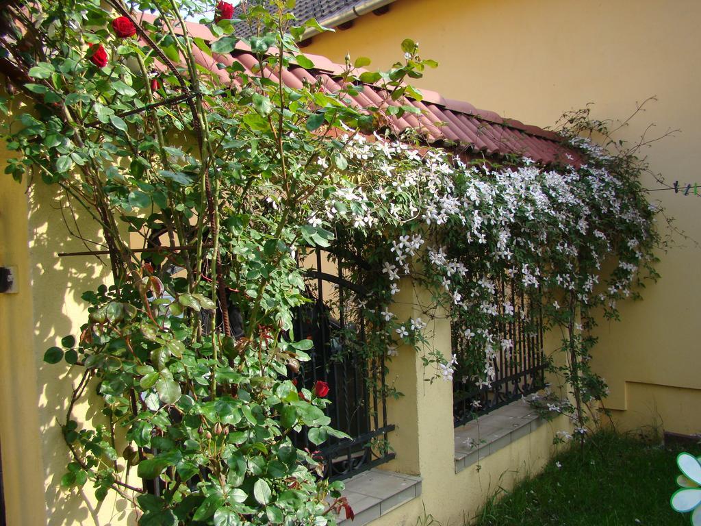 Pensiunea Magnolia Sibiu Exterior photo