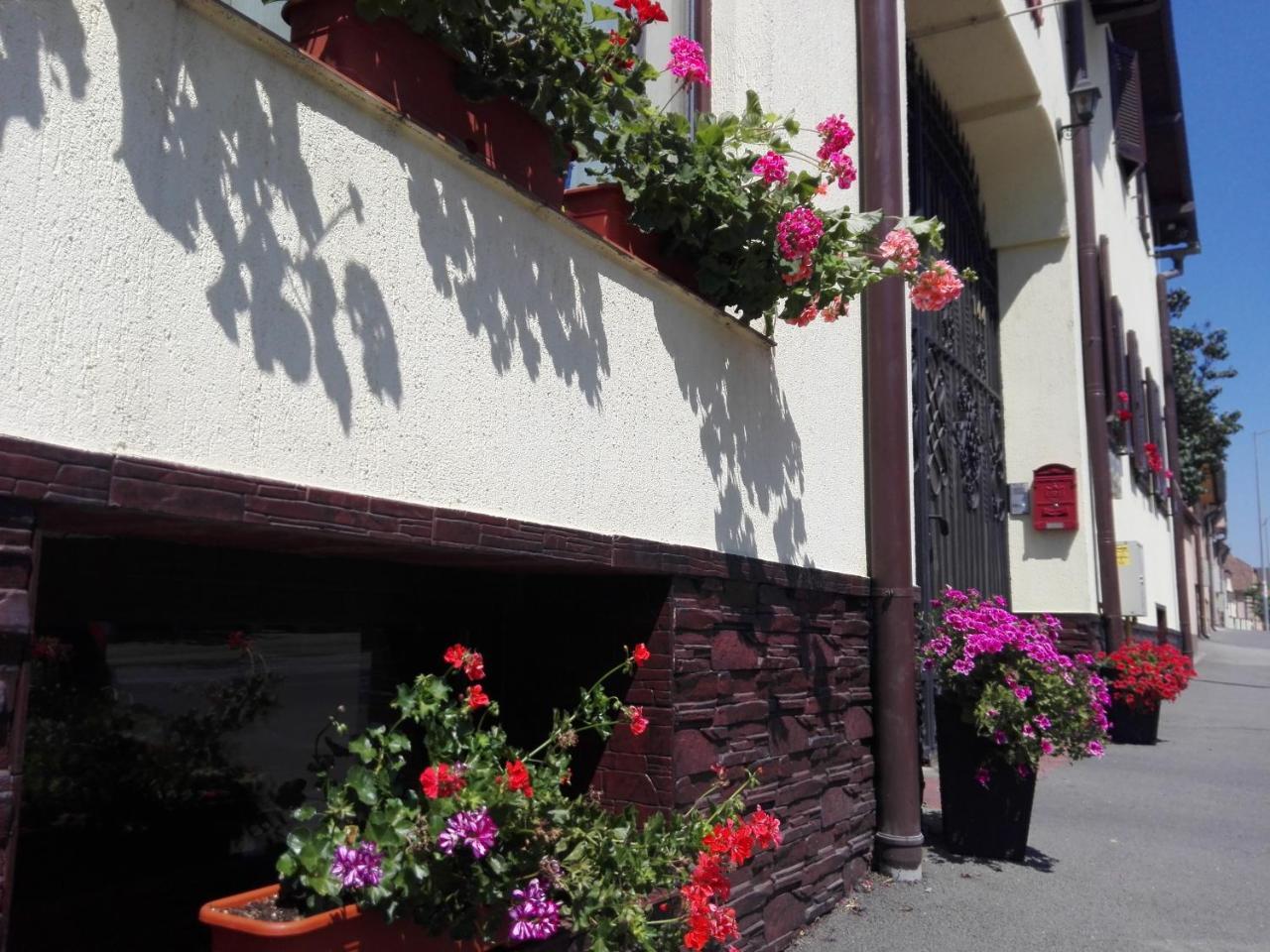Pensiunea Magnolia Sibiu Exterior photo
